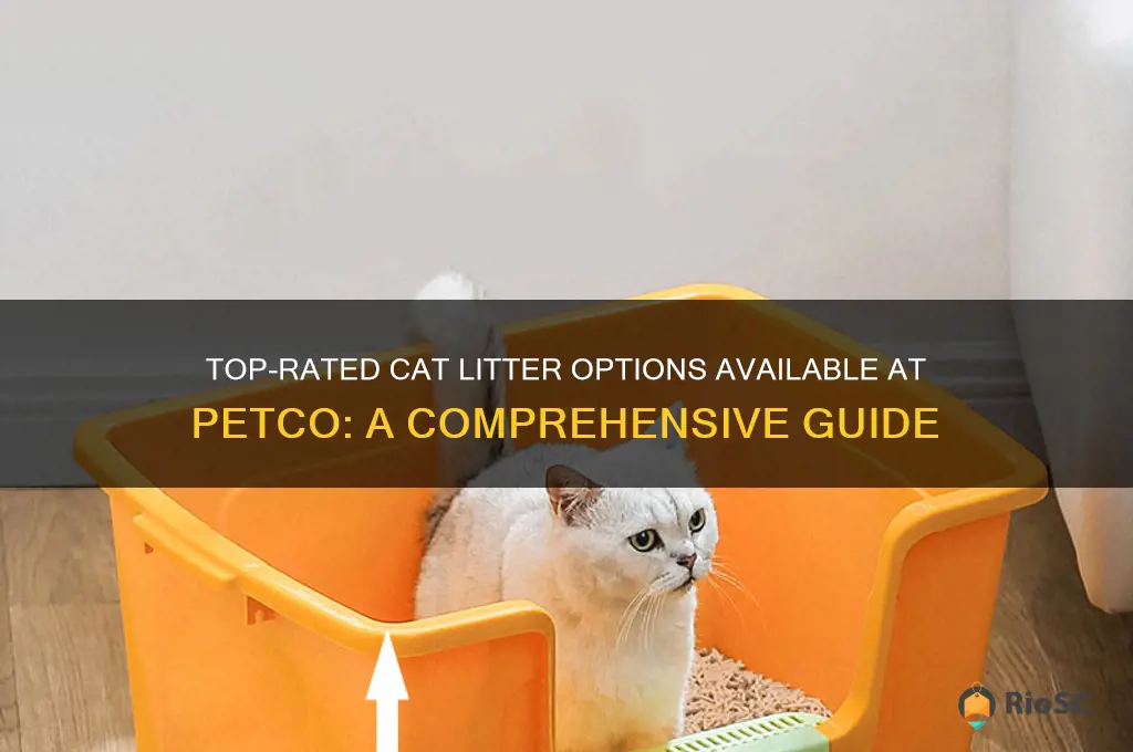 best cat litter at petco
