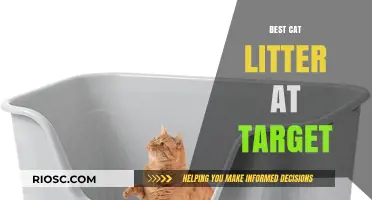 Top-Rated Cat Litter Options Available at Target: Find the Perfect Match for Your Feline Friend