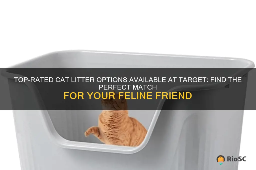 best cat litter at target