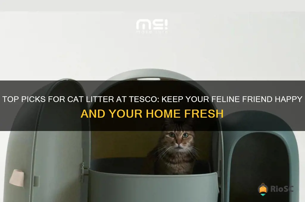 best cat litter at tesco