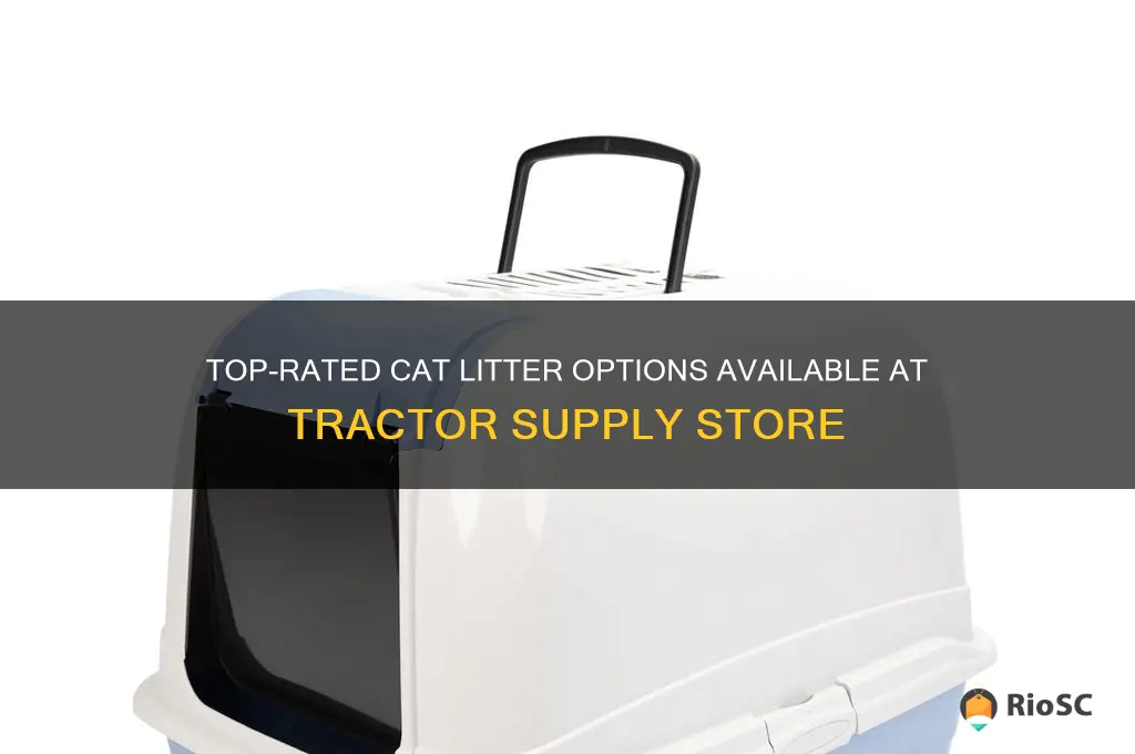 best cat litter at tractor supply store