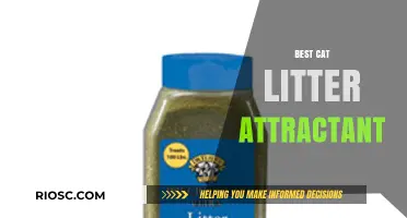 Purr-fectly Effective: Top Cat Litter Attractants to Keep Your Feline Happy and Your Home Clean