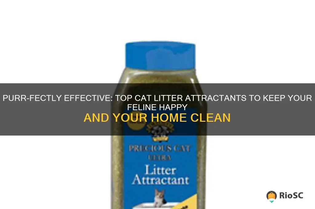 best cat litter attractant