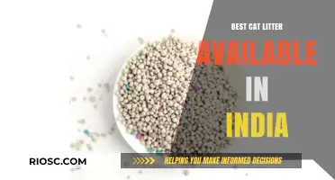 Top-Rated Cat Litter Options in India: A Comprehensive Guide to the Best Choices for Your Feline Friend