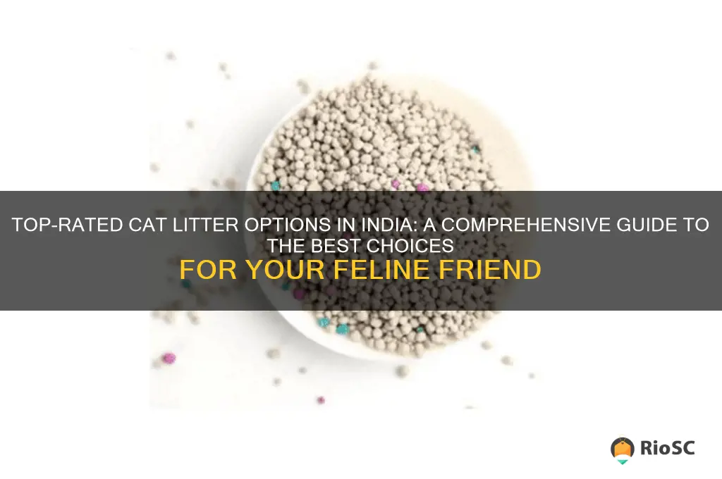 best cat litter available in india