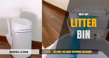 Top Picks for the Best Cat Litter Bin: Keep Your Home Clean and Odor-Free
