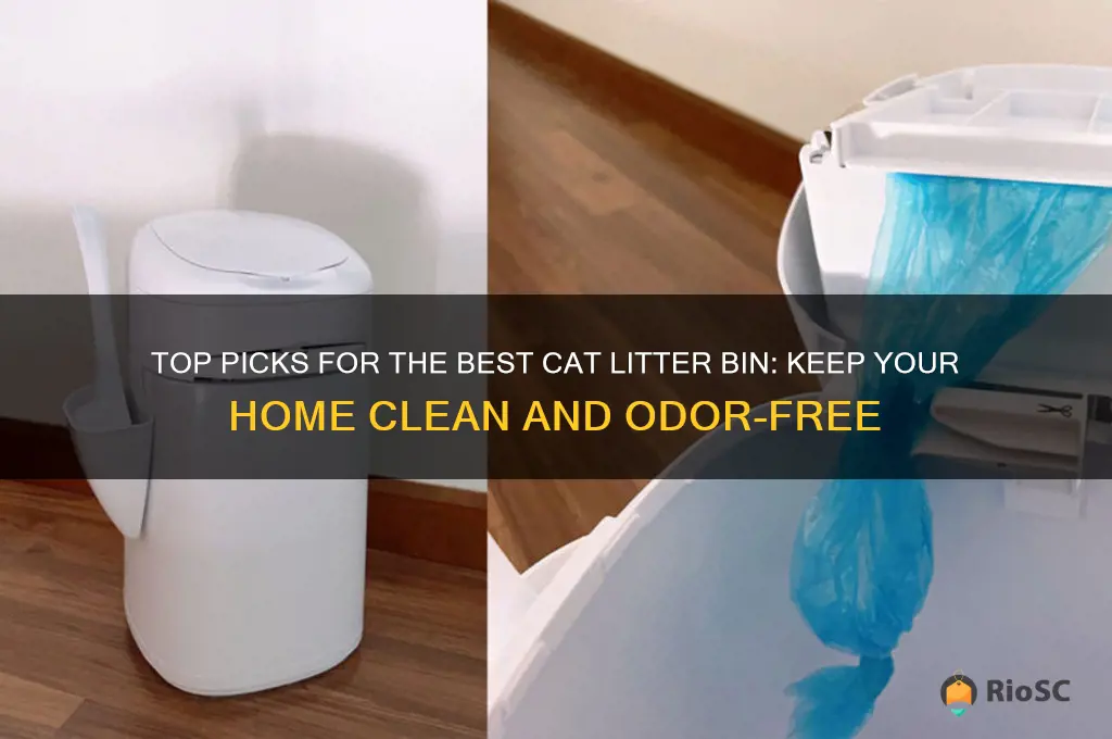 best cat litter bin