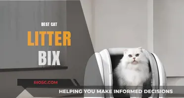Top Picks for the Best Cat Litter Box: Comfort, Convenience, and Cleanliness for Your Feline Friend