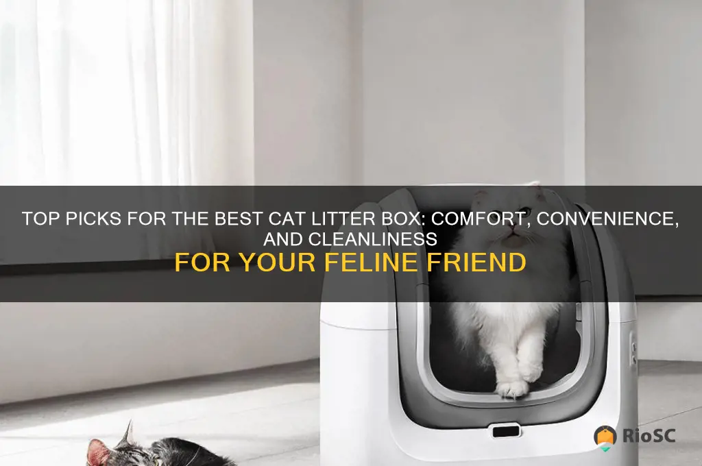 best cat litter bix