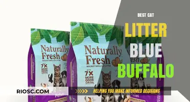 Blue Buffalo Cat Litter Review: Top Picks for Odor Control and Clumping Performance