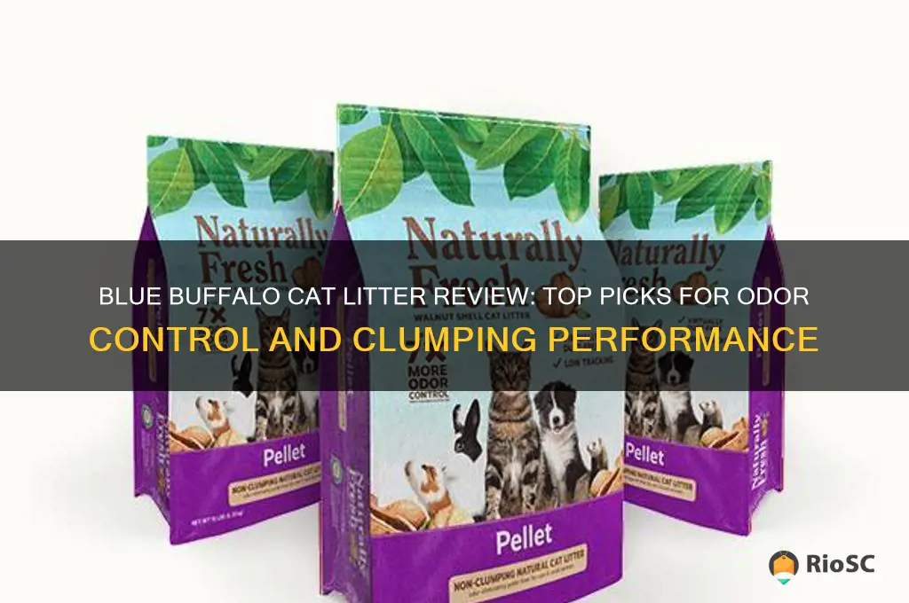 best cat litter blue buffalo