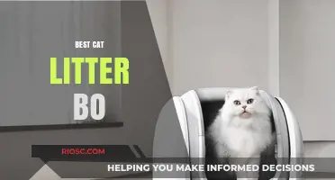 Top Picks for the Best Cat Litter Boxes: A Comprehensive Guide