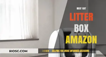 Top-Rated Cat Litter Boxes on Amazon: Find the Perfect Match for Your Feline Friend