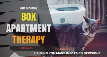 Top Apartment-Friendly Cat Litter Boxes for Stress-Free Living