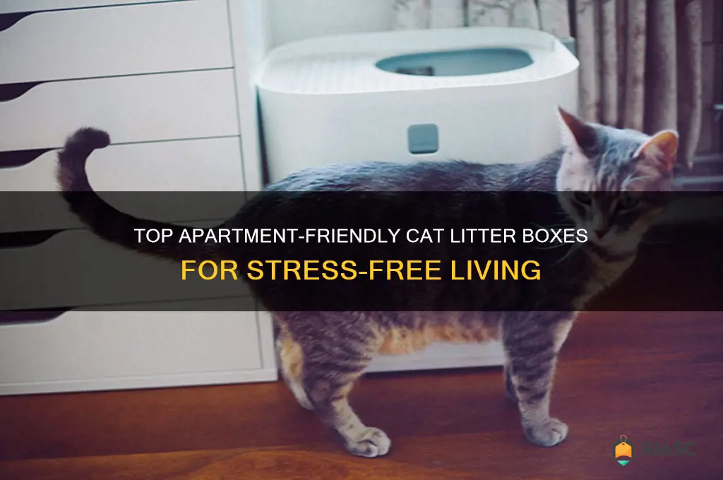 best cat litter box apartment therapy