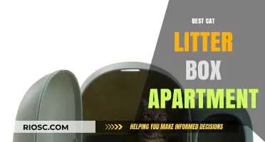 Compact and Odor-Free: The Best Cat Litter Boxes for Apartment Living