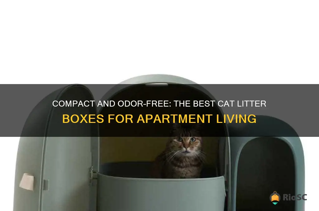 best cat litter box apartment