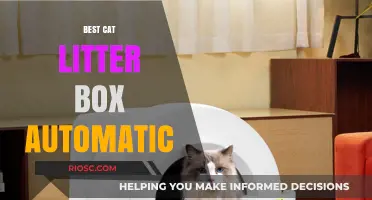 Revolutionize Your Cat Care: Top Automatic Litter Boxes for Effortless Cleaning