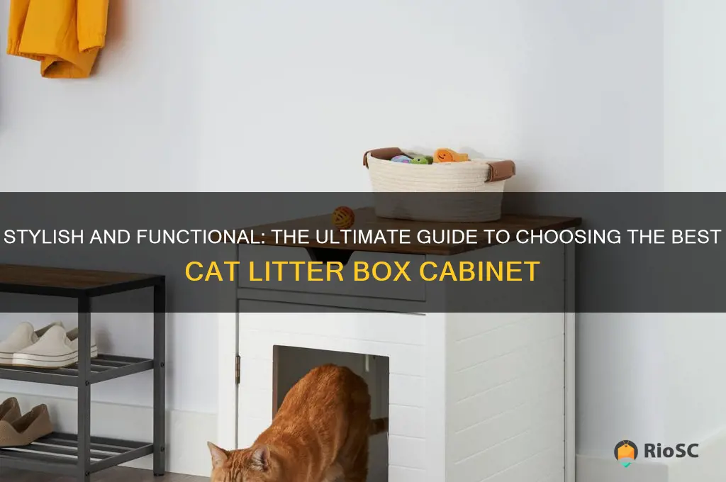 best cat litter box cabinet