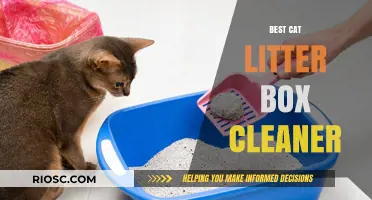 Ultimate Guide to Choosing the Best Cat Litter Box Cleaner for a Fresh and Odor-Free Home