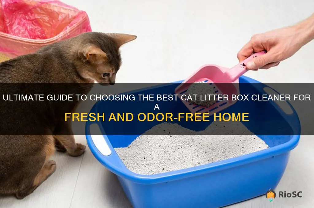 best cat litter box cleaner