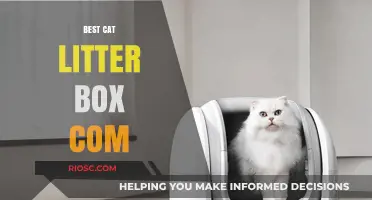 Top Picks for the Best Cat Litter Box: Comfort, Convenience, and Cleanliness Combined