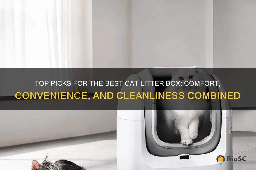 best cat litter box com