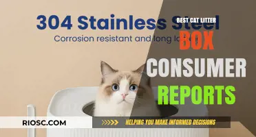 Top-Rated Cat Litter Boxes: Expert Picks and Consumer Reviews for the Best Options