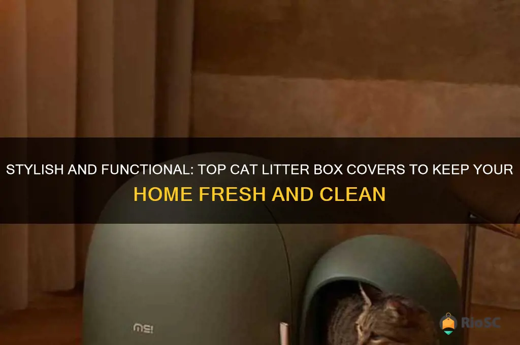best cat litter box covers
