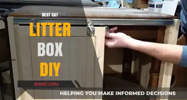 Creative and Cost-Effective: DIY Cat Litter Box Ideas for Every Home