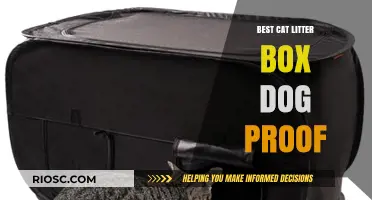Dog-Proof Cat Litter Box Solutions: Top Picks for Pet-Friendly Homes