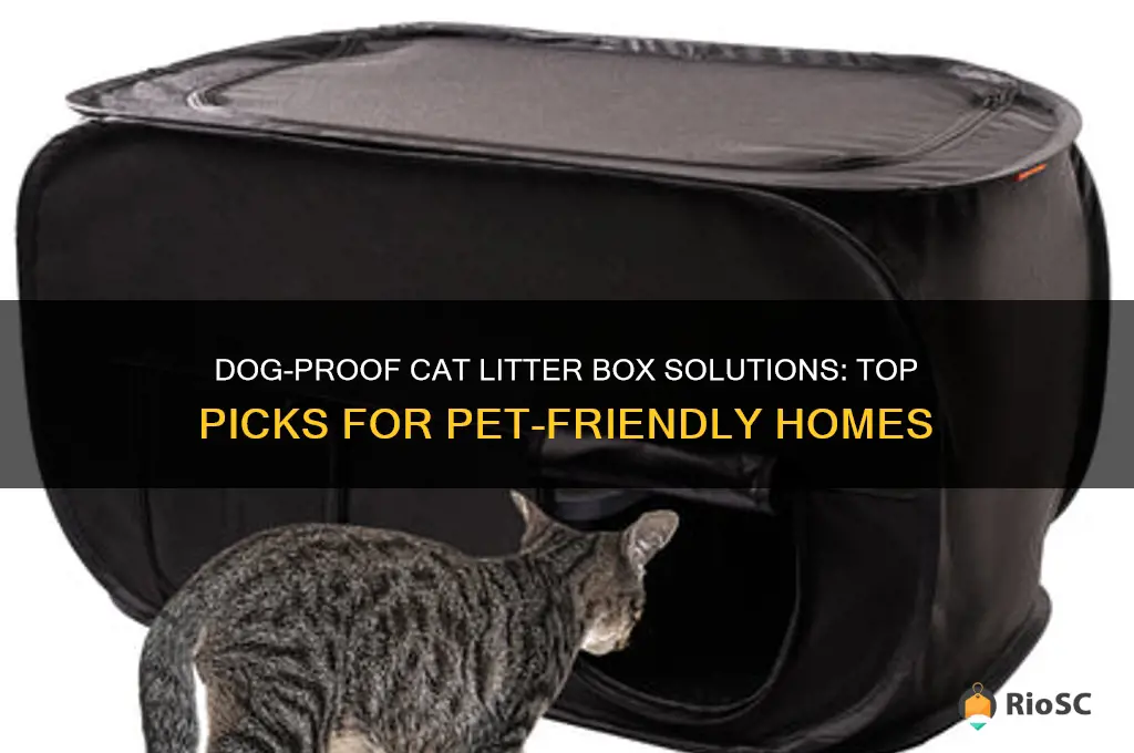 best cat litter box dog proof