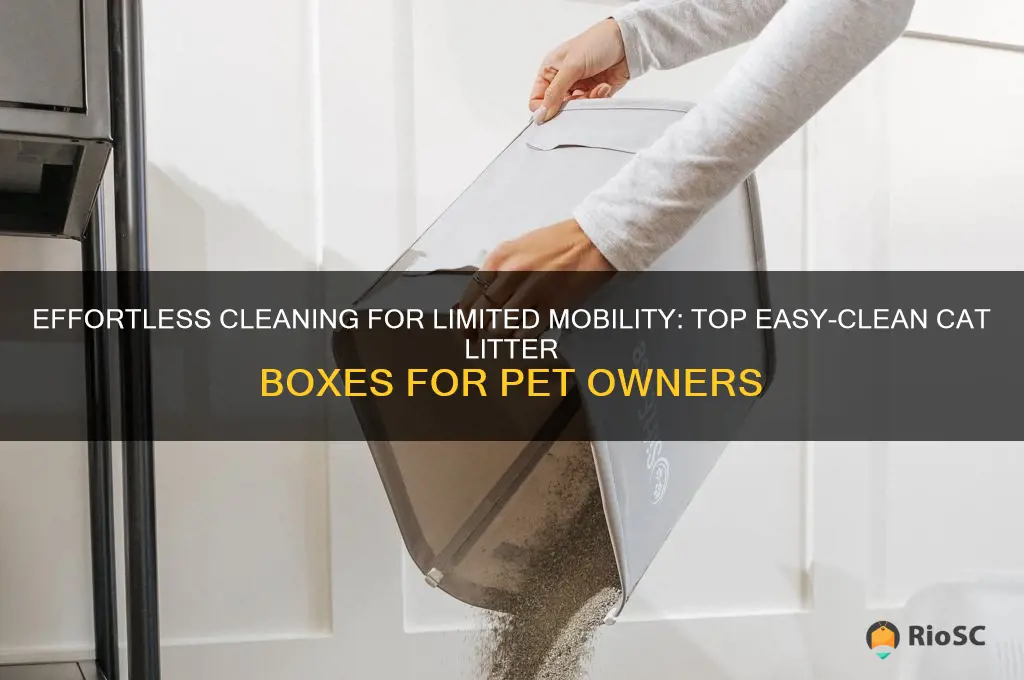 best cat litter box easy clean limited mobility