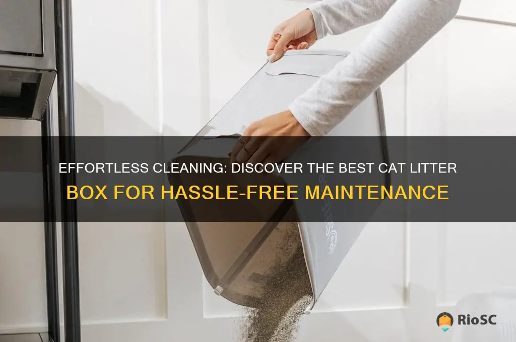 best cat litter box easy clean