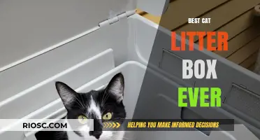 Revolutionary Cat Litter Box: The Ultimate Solution for Odor-Free, Mess-Free, and Stress-Free Cleaning