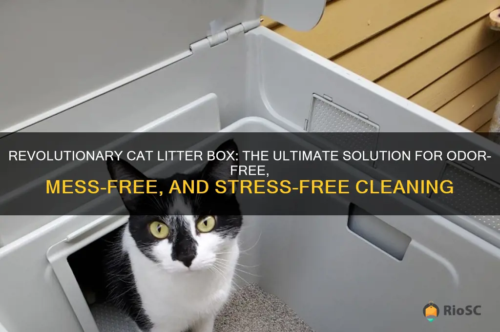 best cat litter box ever