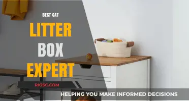Top Tips from the Best Cat Litter Box Expert: How to Choose, Clean, and Maintain the Perfect Litter Box