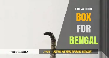 Top-Rated Cat Litter Boxes Perfect for Bengal Cats: Comfort, Durability, and Easy Cleaning