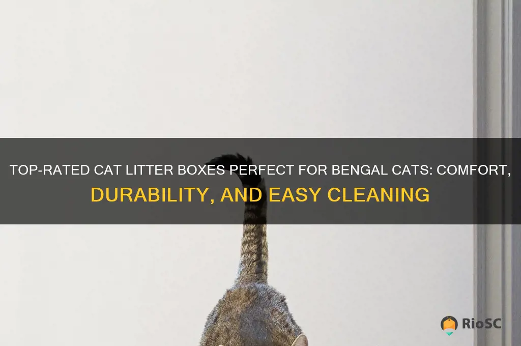 best cat litter box for bengal
