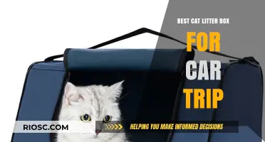 Travel-Friendly Cat Litter Box Solutions: Top Picks for Stress-Free Car Trips