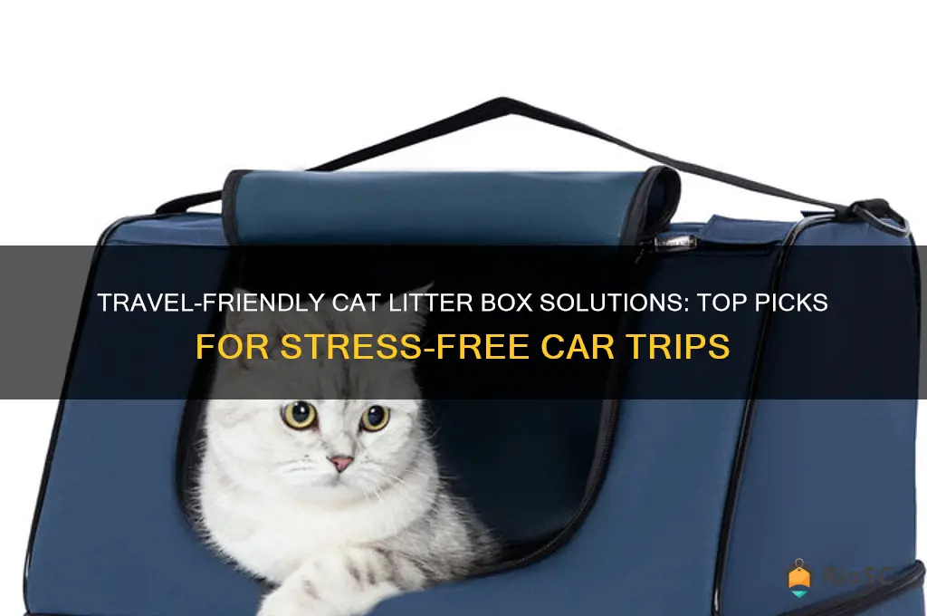 best cat litter box for car trip