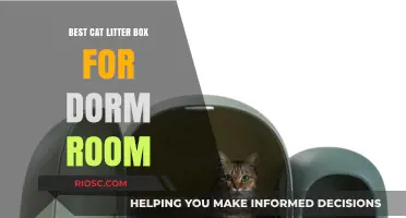 Compact and Odor-Free: The Best Cat Litter Box for Your Dorm Room