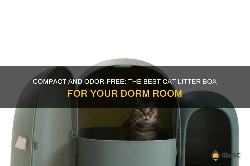 best cat litter box for dorm room
