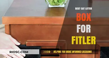 Top-Rated Cat Litter Boxes with Advanced Filter Systems for Odor Control