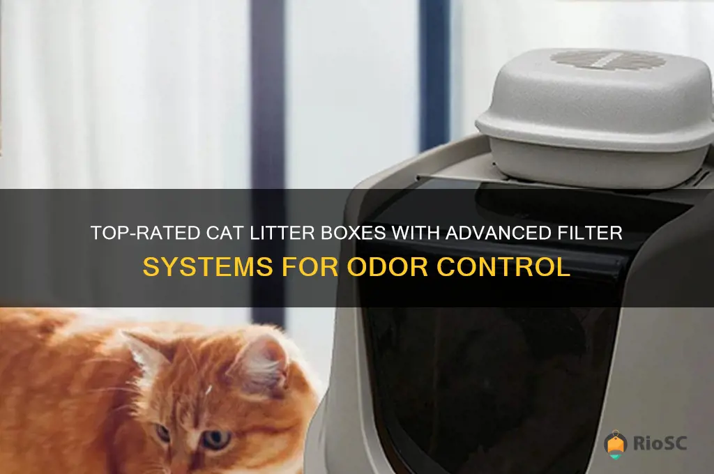 best cat litter box for fitler