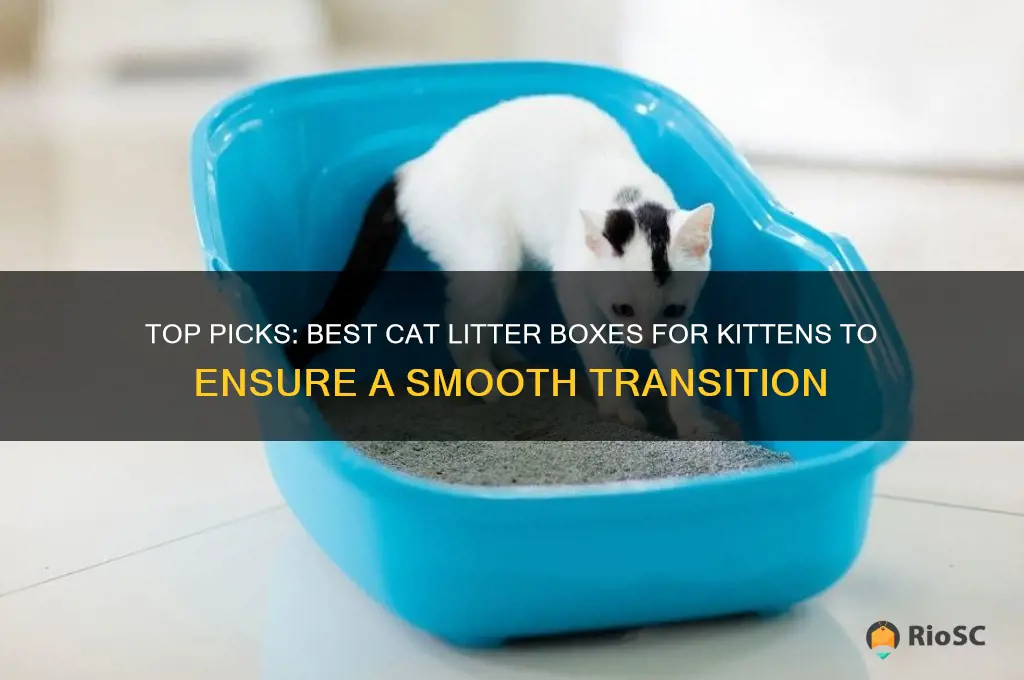 best cat litter box for kittens