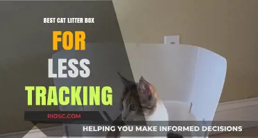 Top Cat Litter Box Picks to Minimize Tracking and Keep Your Home Cleaner