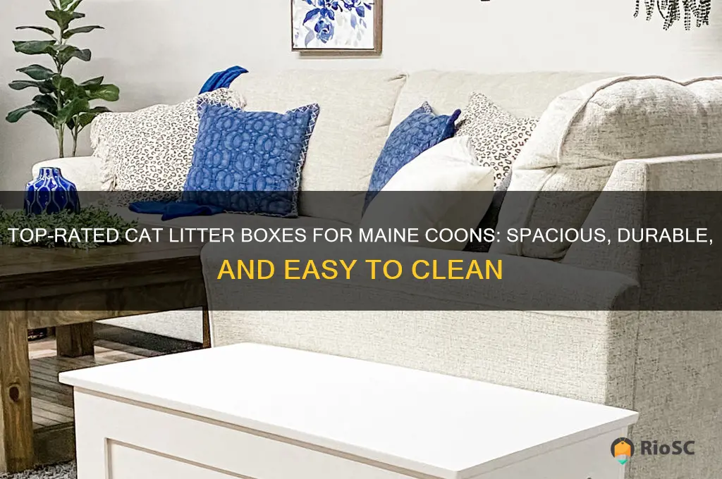 best cat litter box for maine coon