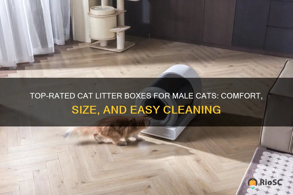 best cat litter box for male cats
