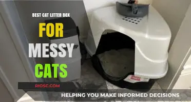 Top-Rated Cat Litter Boxes to Keep Messy Cats Contained and Clean